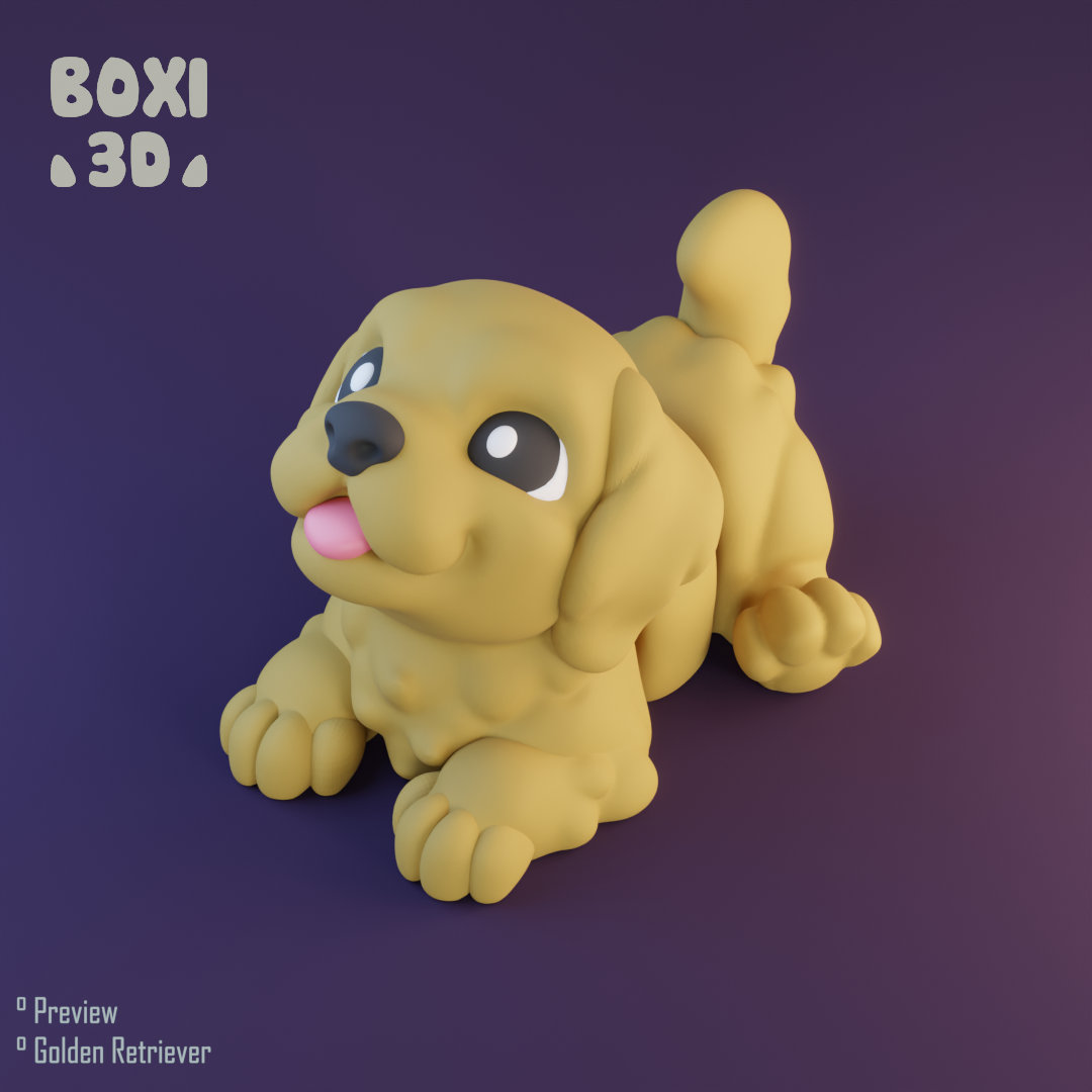 Boxi3D_金毛寻回犬-三匠社