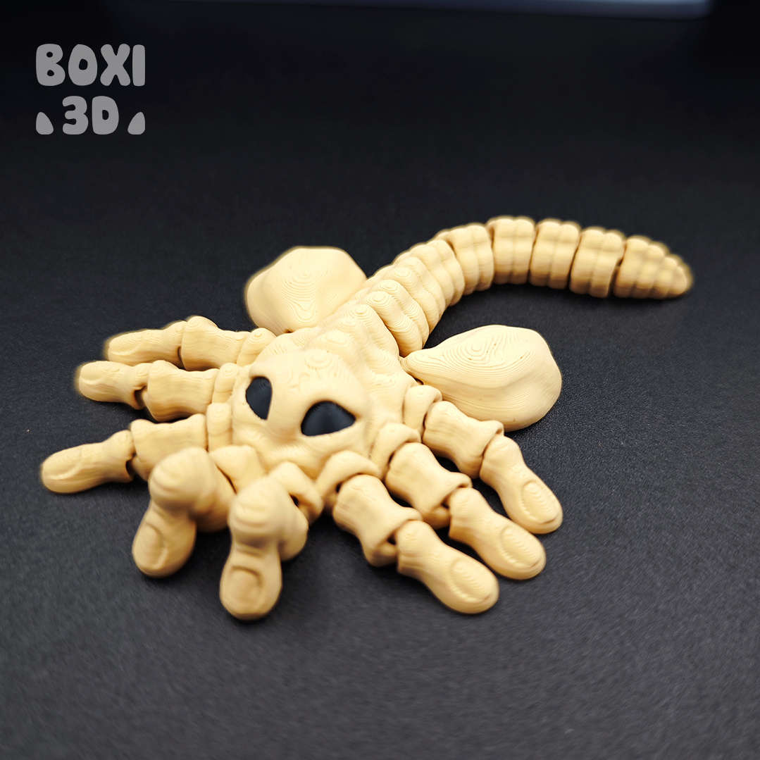 Boxi3D_抱脸虫-三匠社