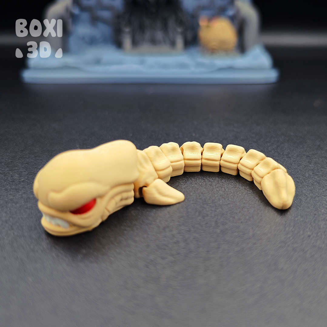 Boxi3D_破胸者-三匠社