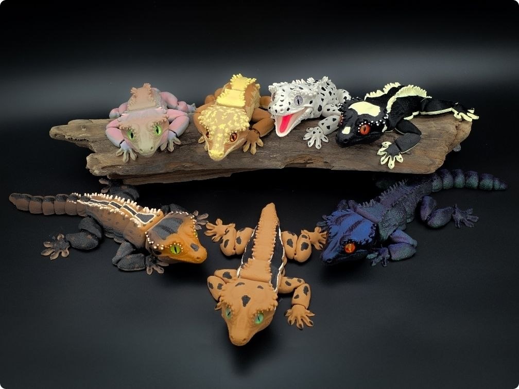 完整冠壁虎套装（含形态升级包）