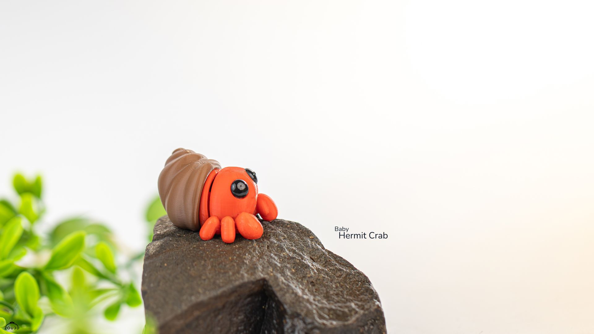 ZOU3D-寄居蟹