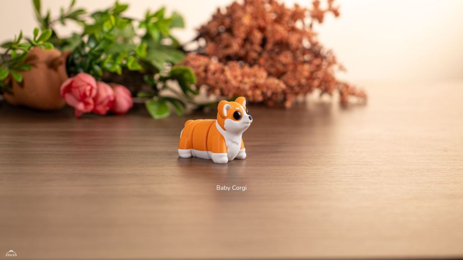 ZOU3D-柯基犬宝宝