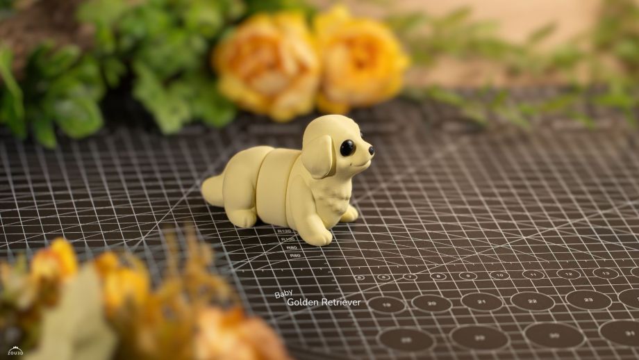 ZOU3D-金毛犬宝宝-三匠社