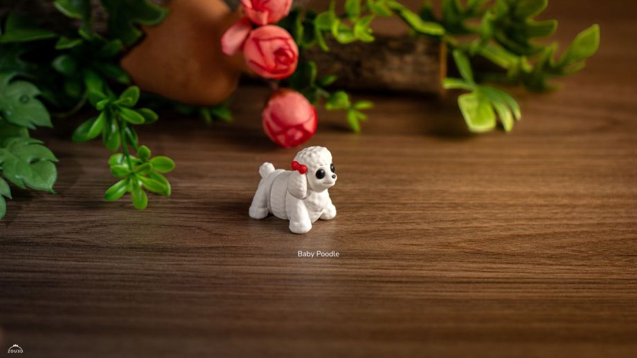 ZOU3D-贵宾犬宝宝