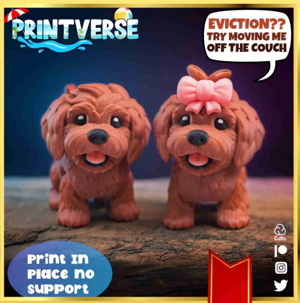 PRINTVERSE-贵宾犬-三匠社